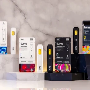 buy turn disposable online